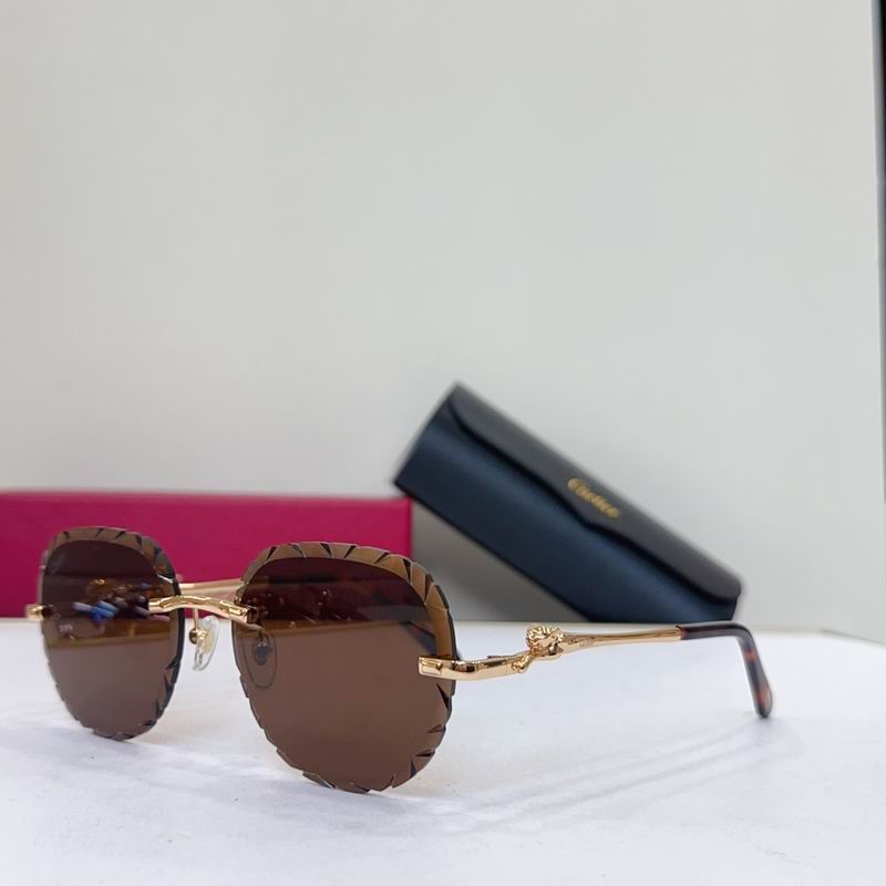 Cartier CT0281O 55 18 135 G02