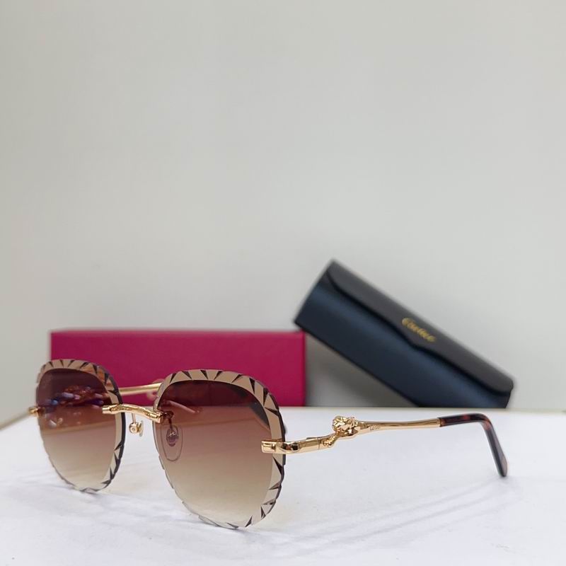 Cartier CT0281O 55 18 135 G04