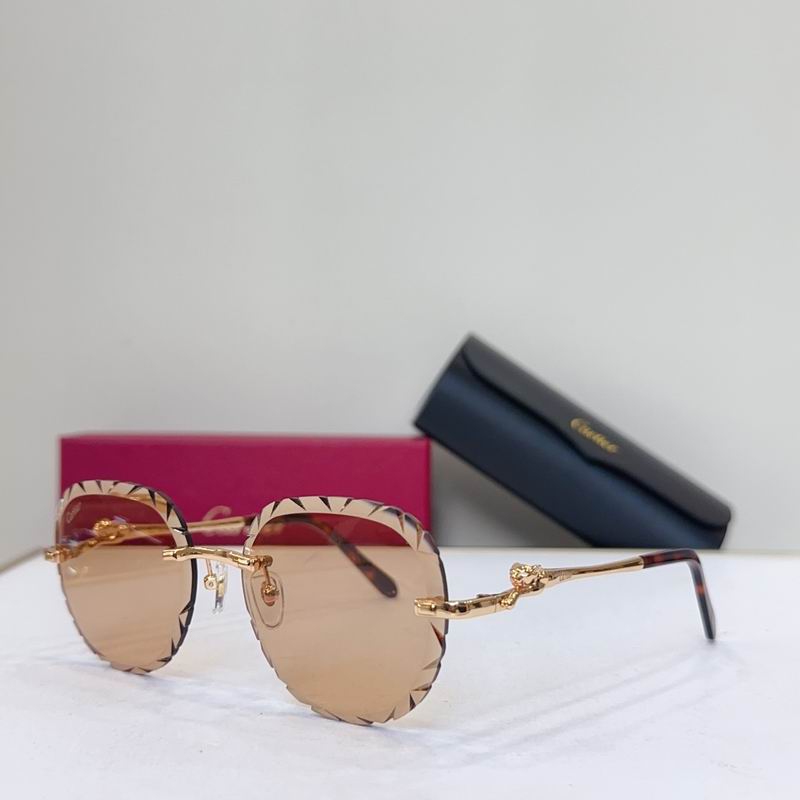 Cartier CT0281O 55 18 135 G05