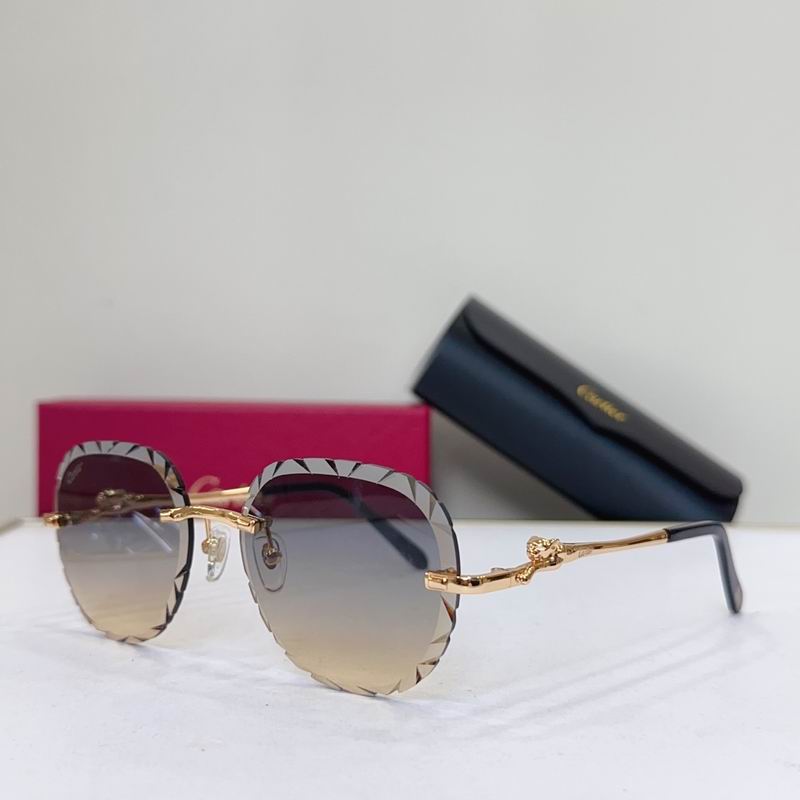 Cartier CT0281O 55 18 135 G06