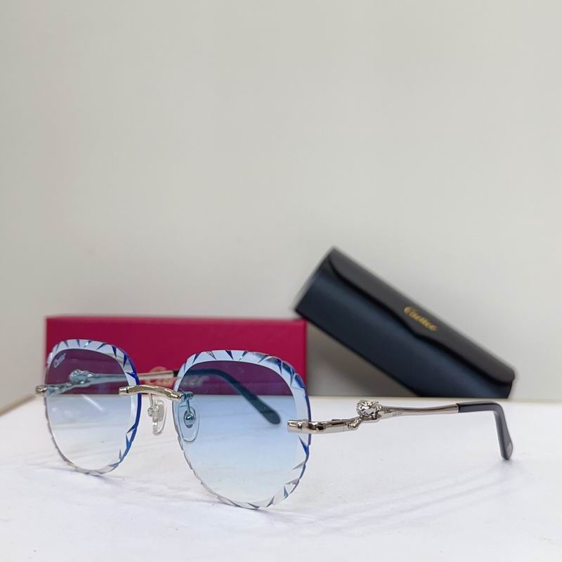 Cartier CT0281O 55 18 135 G07