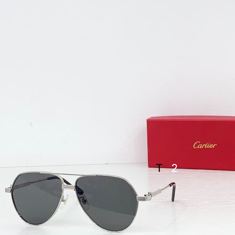 Cartier CT0303S 61 14-145  b01