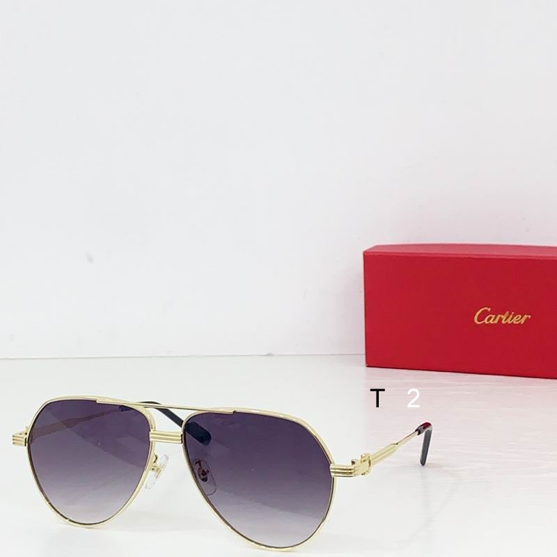 Cartier CT0303S 61 14-145  b02