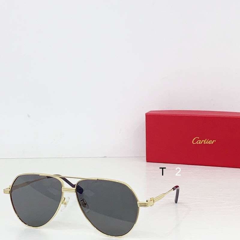 Cartier CT0303S 61 14-145  b03