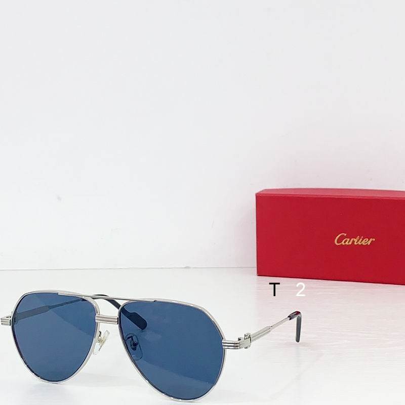 Cartier CT0303S 61 14-145  b04