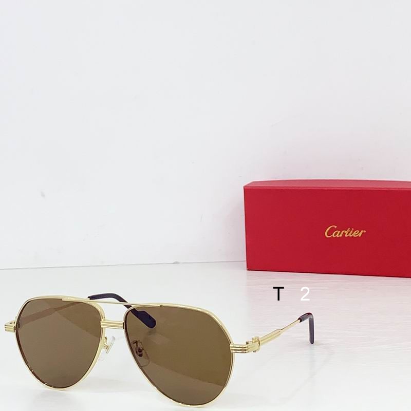 Cartier CT0303S 61 14-145  b05