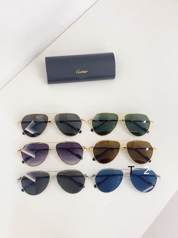 Cartier CT0303S 61 14-145  b09