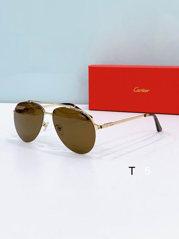 Cartier CT0354S 61 15-145 F01