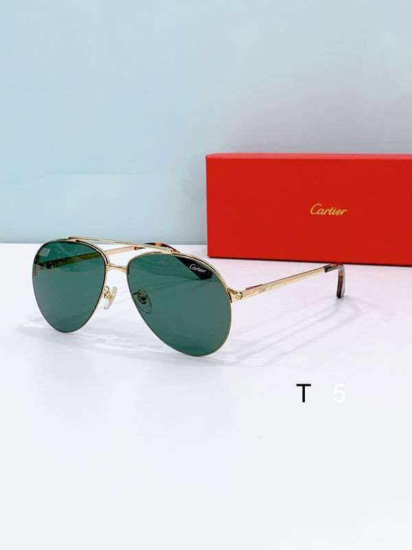 Cartier CT0354S 61 15-145 F05