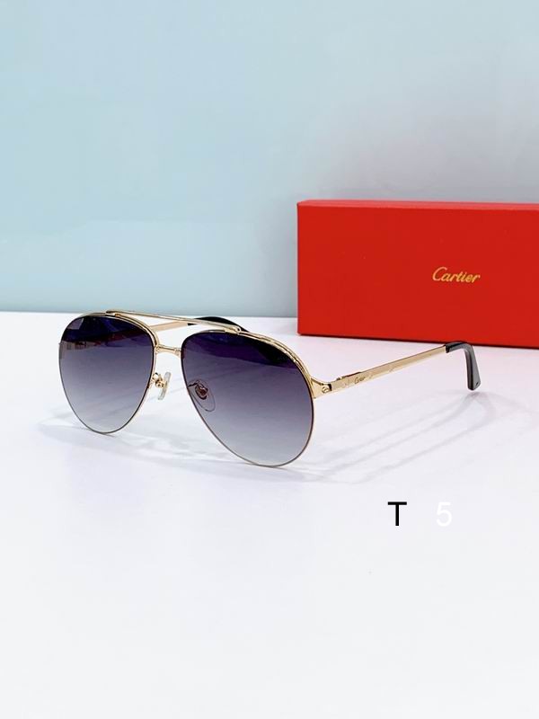 Cartier CT0354S 61 15-145 F08