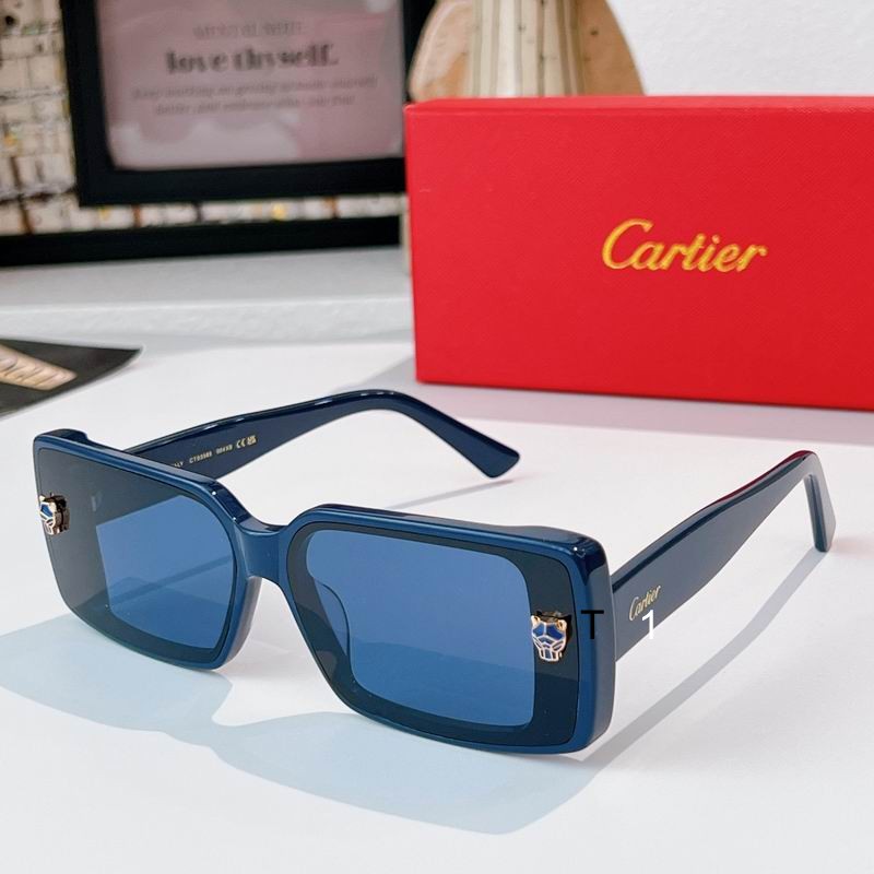 Cartier CT0358S 65 13-145 a01