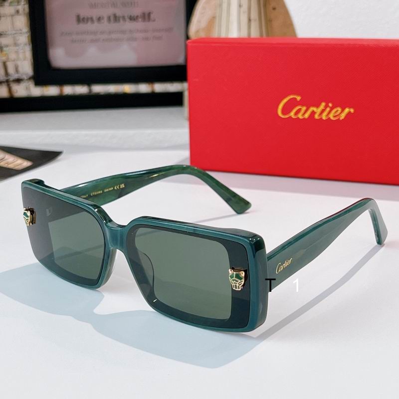 Cartier CT0358S 65 13-145 a02