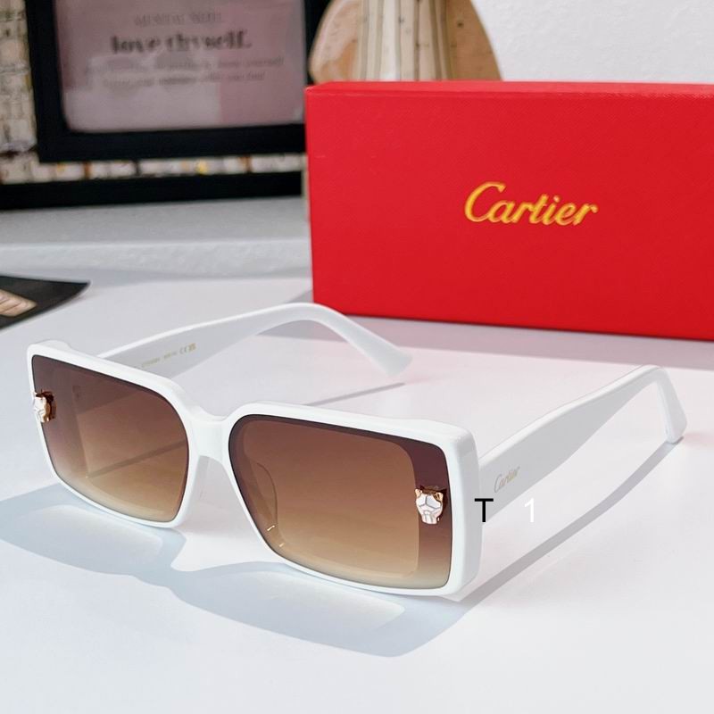 Cartier CT0358S 65 13-145 a03