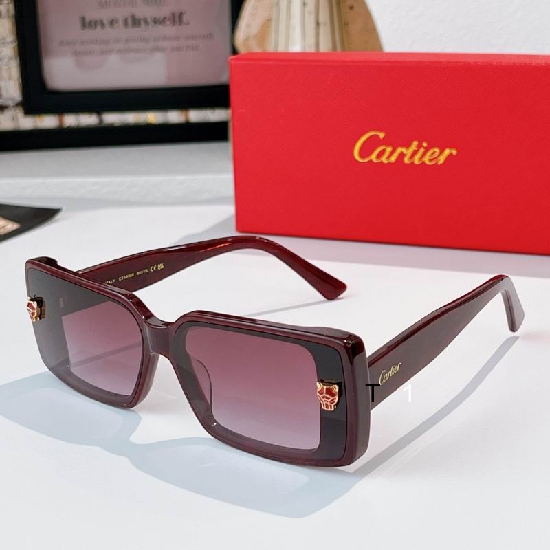 Cartier CT0358S 65 13-145 a04