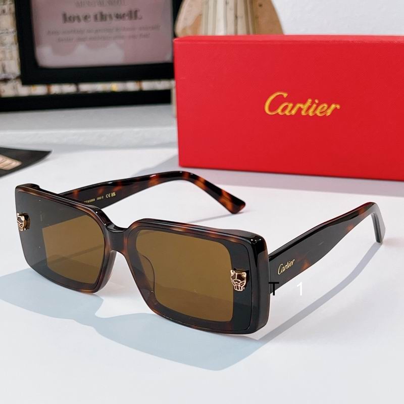 Cartier CT0358S 65 13-145 a06