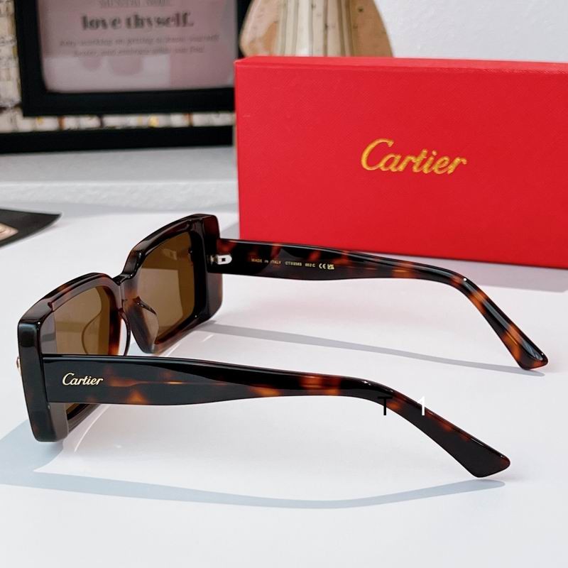 Cartier CT0358S 65 13-145 a07