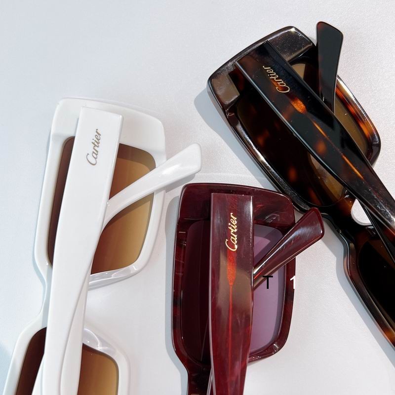 Cartier CT0358S 65 13-145 a08