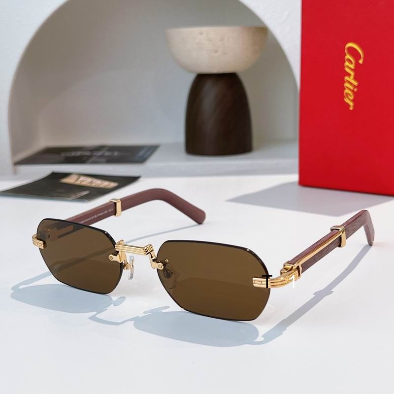 Cartier CT0362S 54 21-145 a03