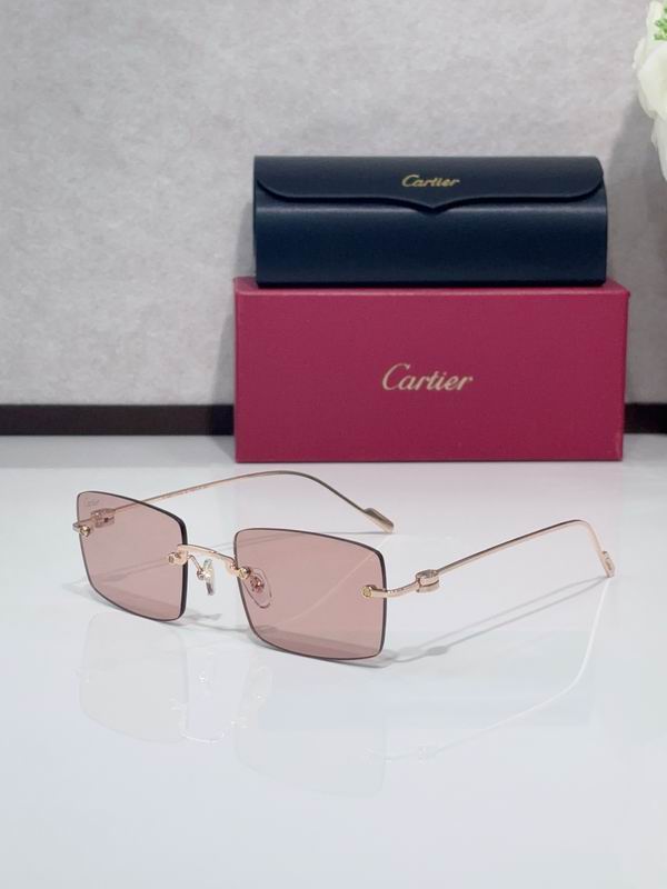 Cartier CT0367S 140 C01