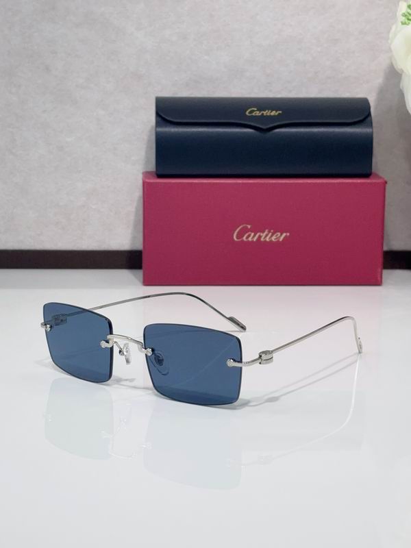 Cartier CT0367S 140 C02