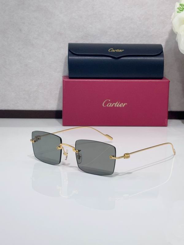Cartier CT0367S 140 C04