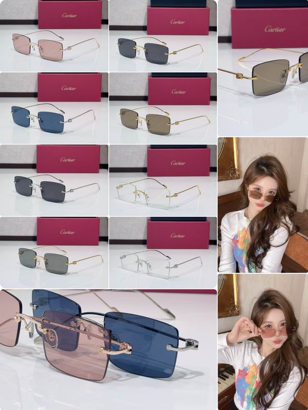 Cartier CT0367S 140 C10