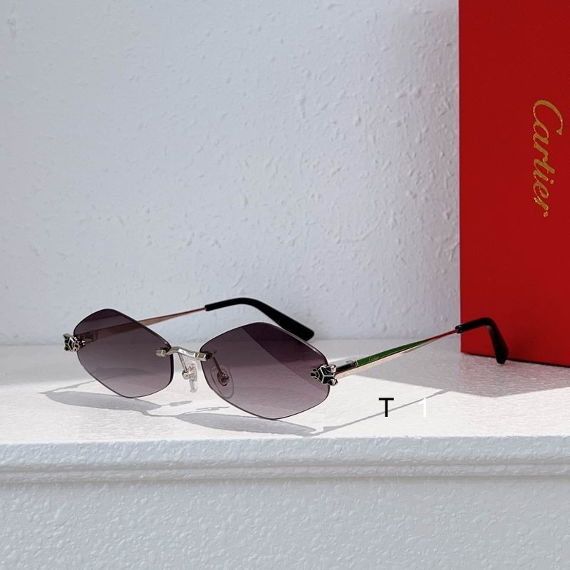 Cartier CT0433S 55 20-140 a01