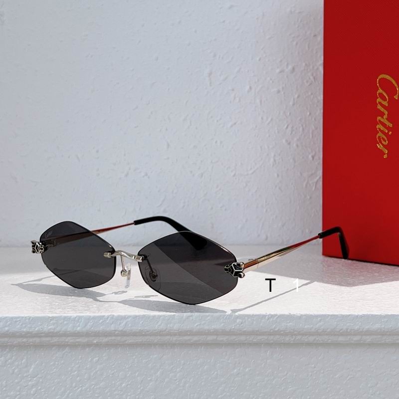 Cartier CT0433S 55 20-140 a03