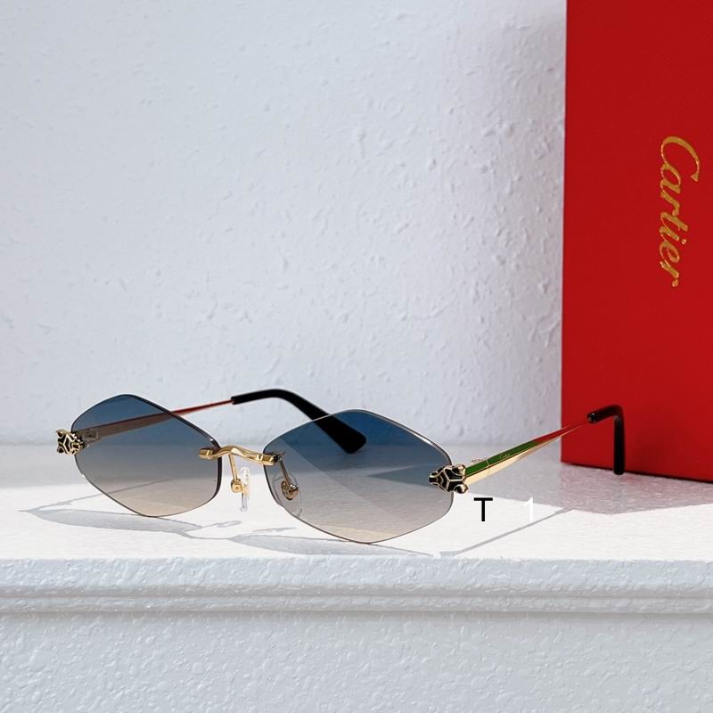 Cartier CT0433S 55 20-140 a04