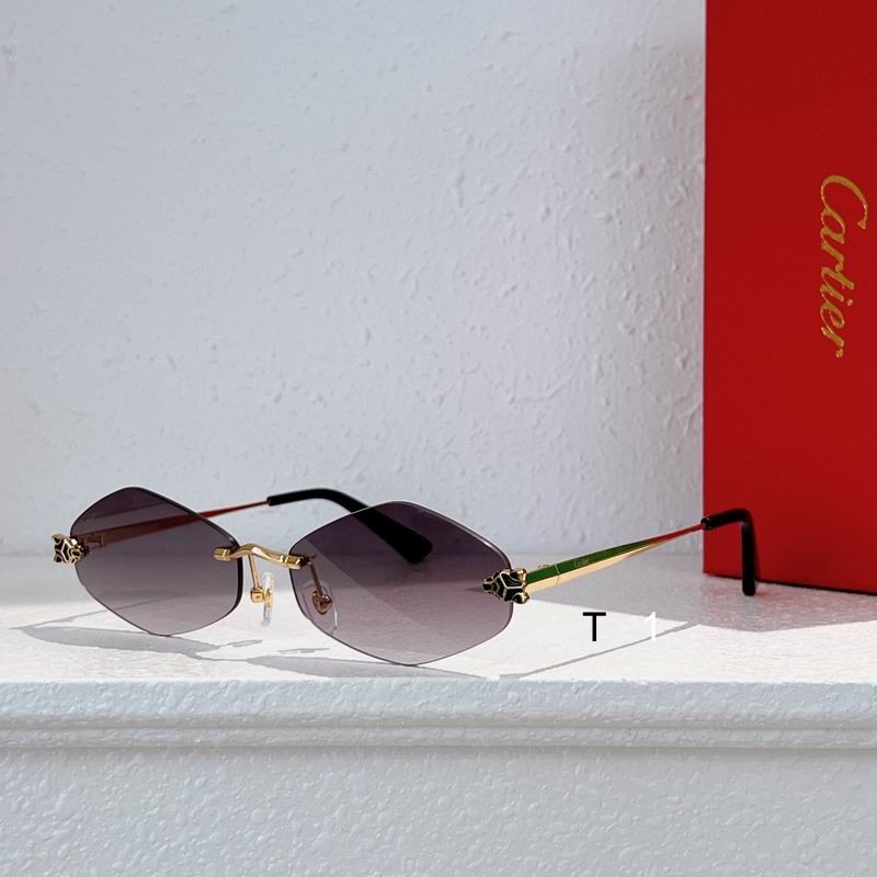 Cartier CT0433S 55 20-140 a05