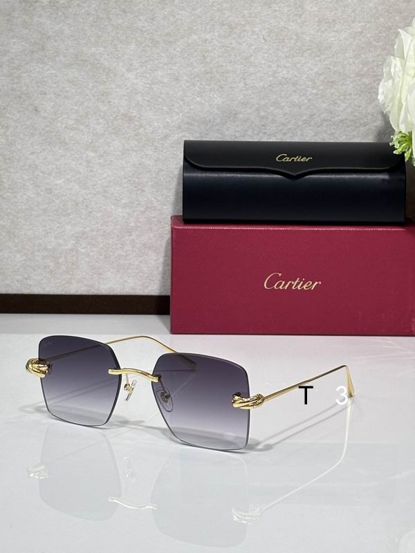 Cartier CT0508S 60 18-140 C01