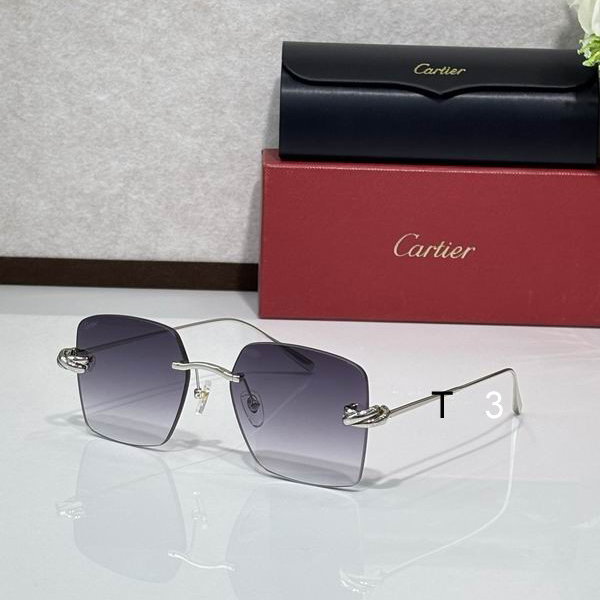 Cartier CT0508S 60 18-140 C02