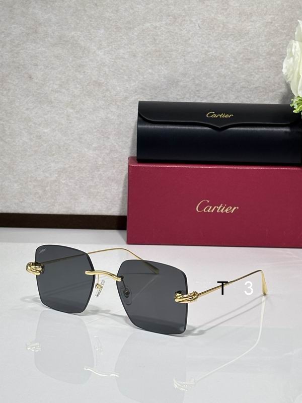 Cartier CT0508S 60 18-140 C03