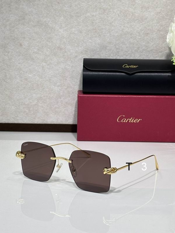 Cartier CT0508S 60 18-140 C04