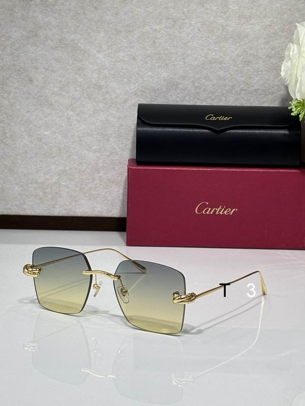 Cartier CT0508S 60 18-140 C05
