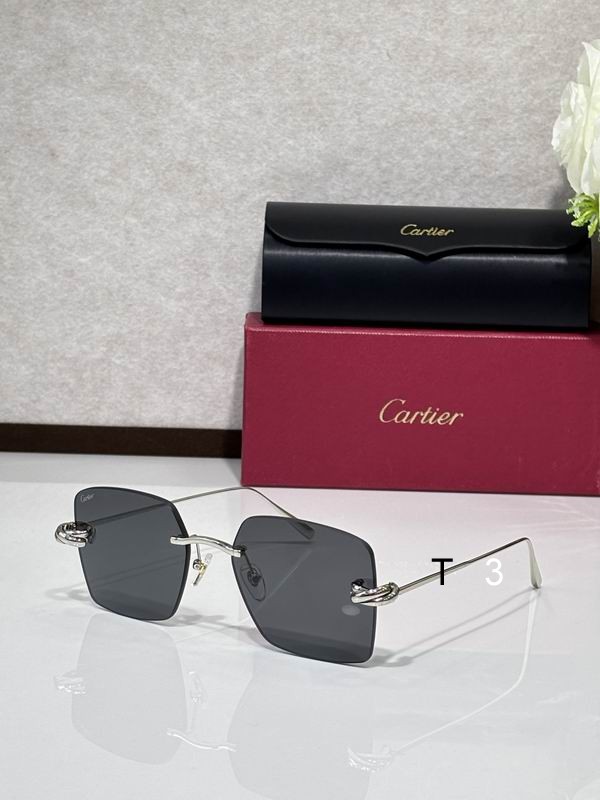 Cartier CT0508S 60 18-140 C06