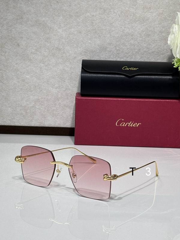 Cartier CT0508S 60 18-140 C07