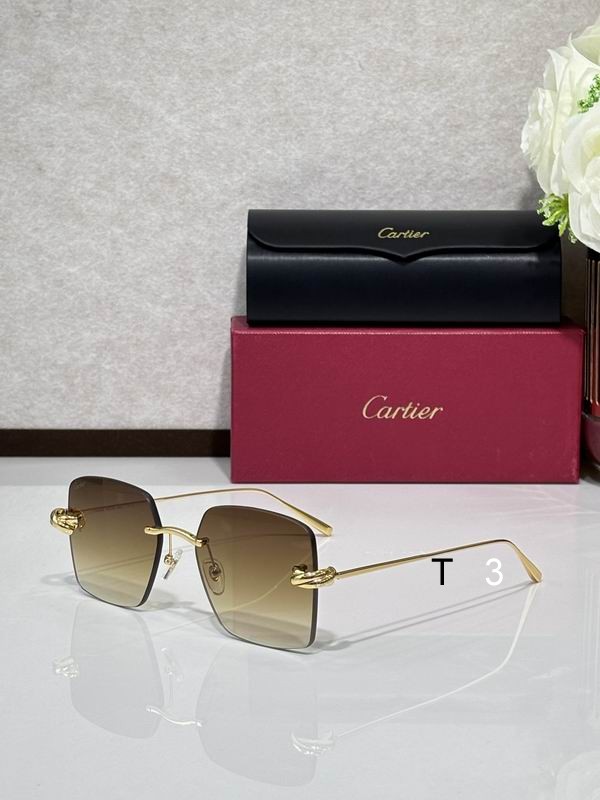 Cartier CT0508S 60 18-140 C08