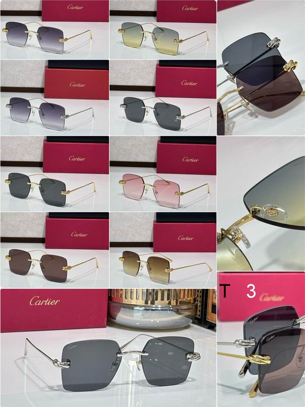 Cartier CT0508S 60 18-140 C10