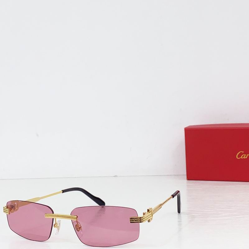 Cartier CT0535S 57 17-145  B00