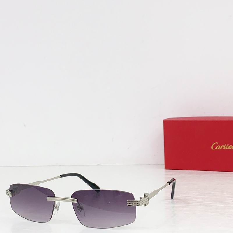 Cartier CT0535S 57 17-145  B02