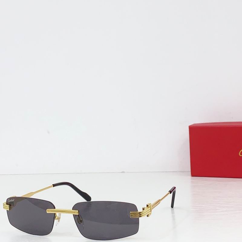 Cartier CT0535S 57 17-145  B03