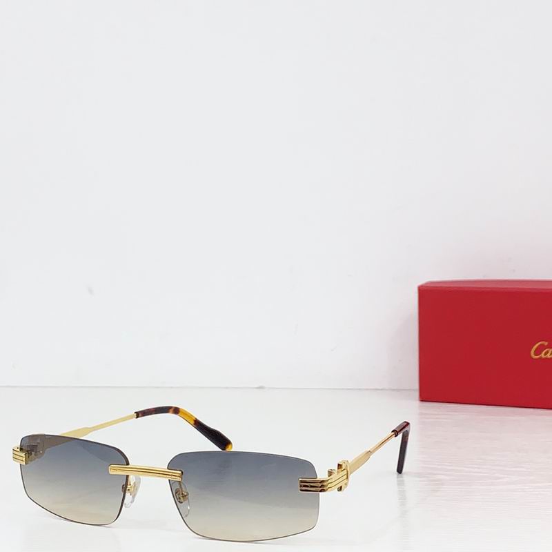 Cartier CT0535S 57 17-145  B04