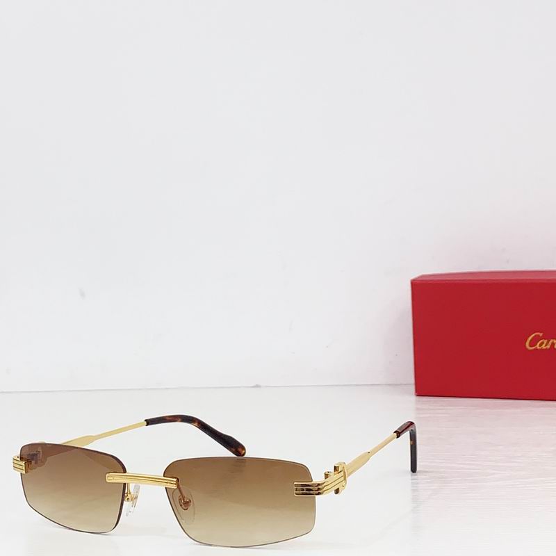Cartier CT0535S 57 17-145  B05