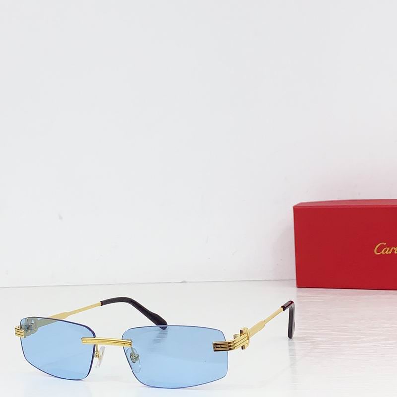 Cartier CT0535S 57 17-145  B06