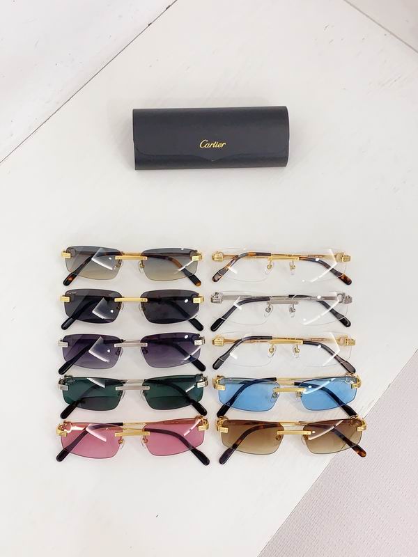 Cartier CT0535S 57 17-145  B10