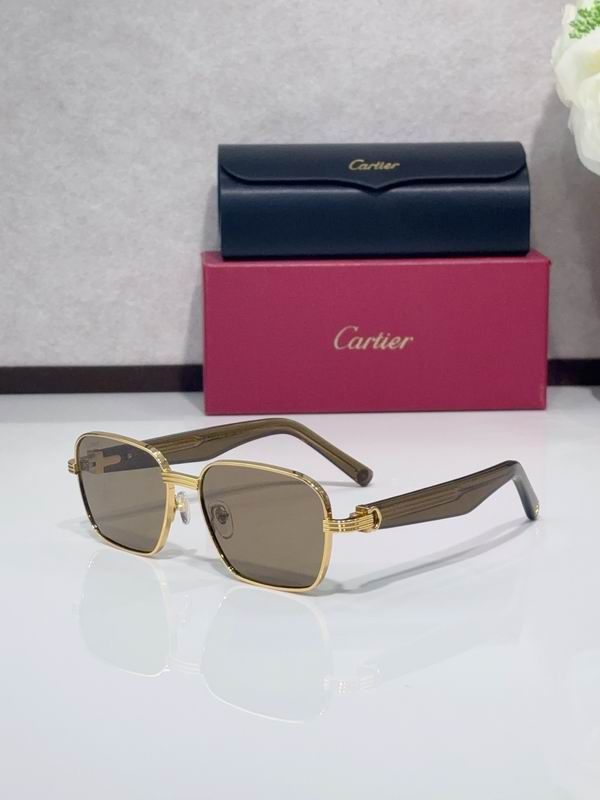 Cartier CT0538S 55 17-145 C01