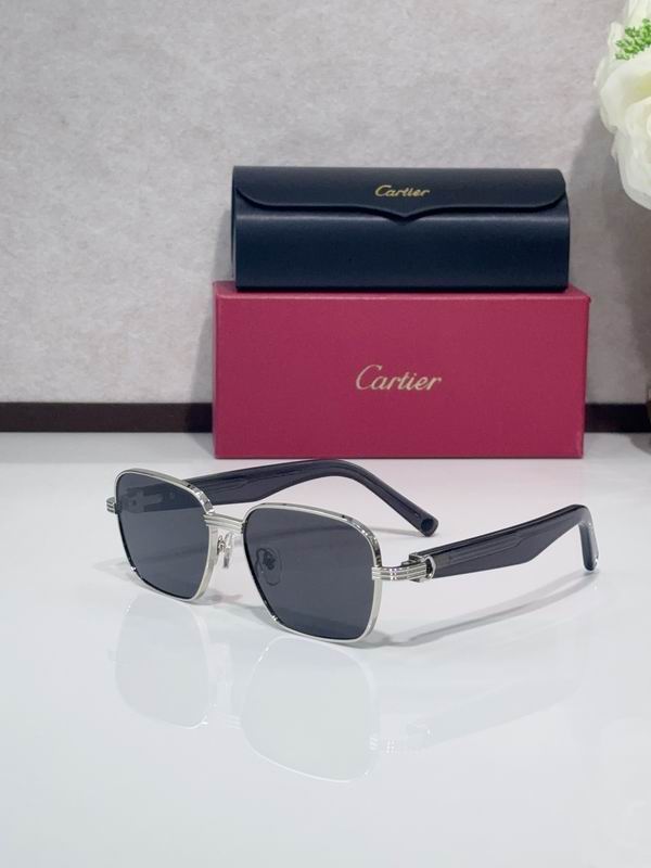 Cartier CT0538S 55 17-145 C04