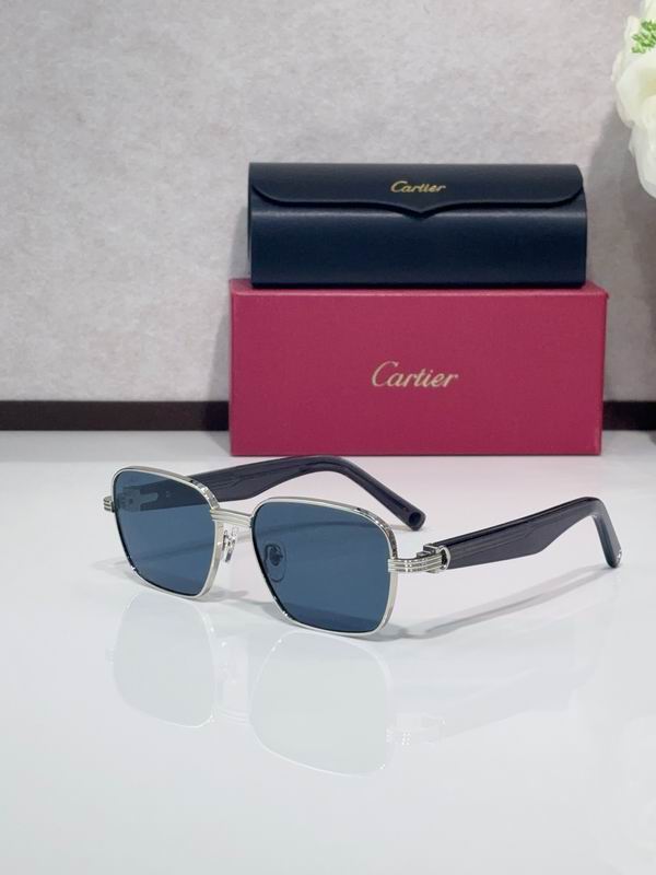 Cartier CT0538S 55 17-145 C05