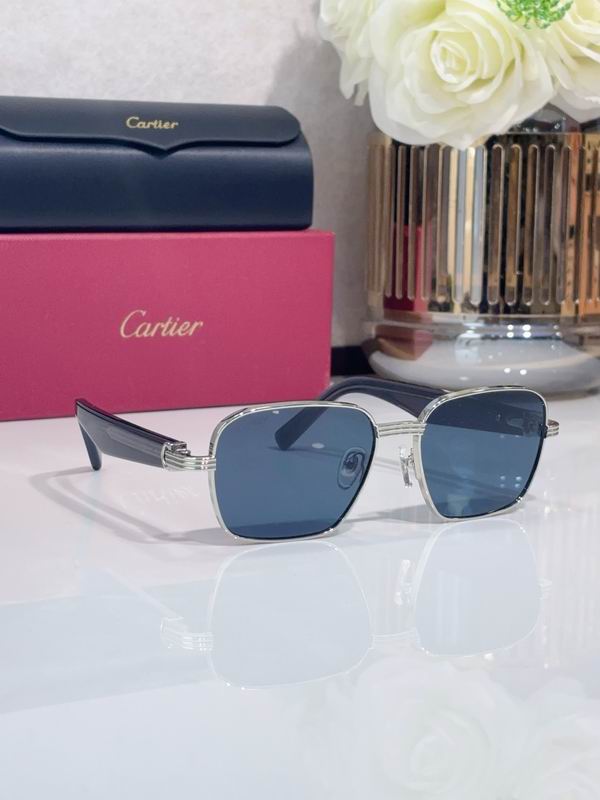 Cartier CT0538S 55 17-145 C09